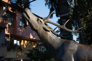 Фотографии Гостевой дом Guest House Elena г. Велинград (Болгария) №3 Фото Гостевой дом Guest House Elena г. Велинград 3