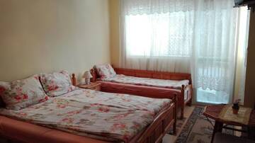 Фото номера Трехместный номер эконом-класса с балконом Отель Family Hotel Velevi г. Велинград 3