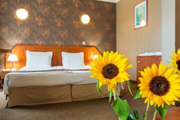 Фото номера Полулюкс с балконом Отель Park Hotel Olymp &amp; SPA г. Велинград 4